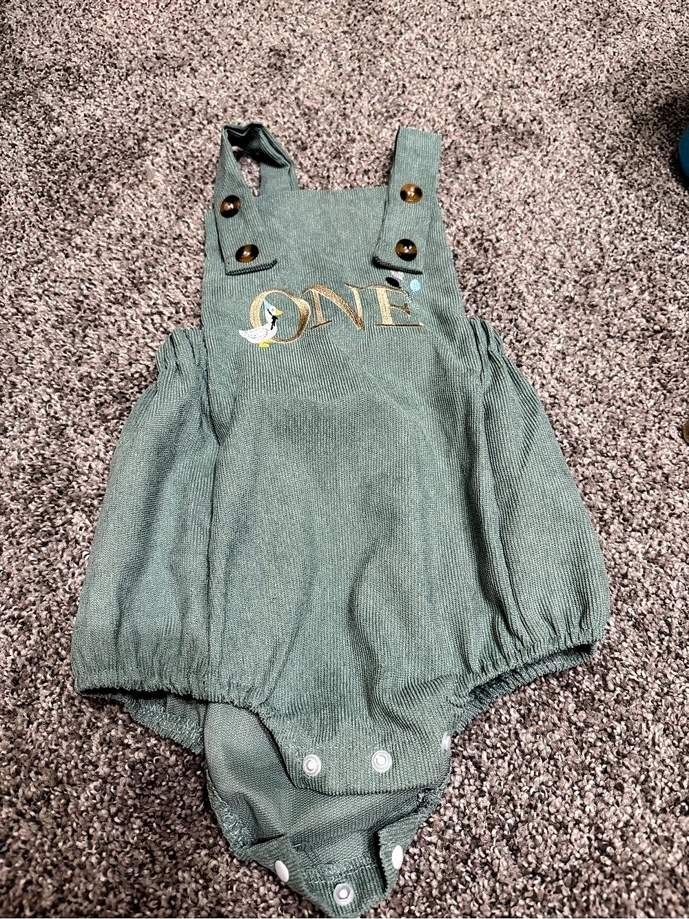 Baby Boy 1st Birthday One Embroidery Corduroy Romper Green. One silly Goose the